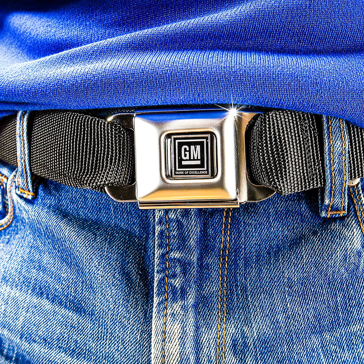 GM Seatbelt Belt