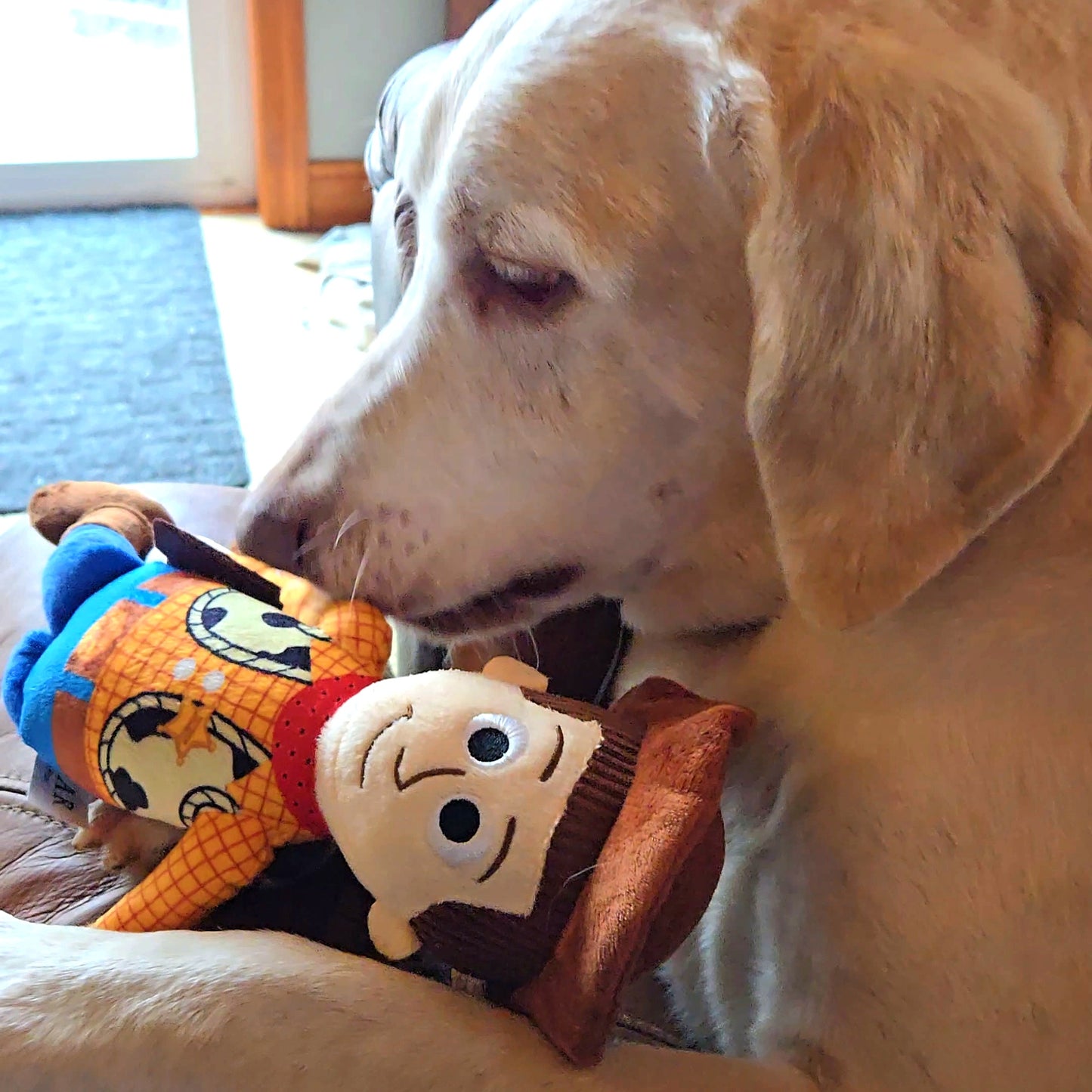 Dog Toy Squeaker Plush - Pixar Toy Story Woody Full Body Pose