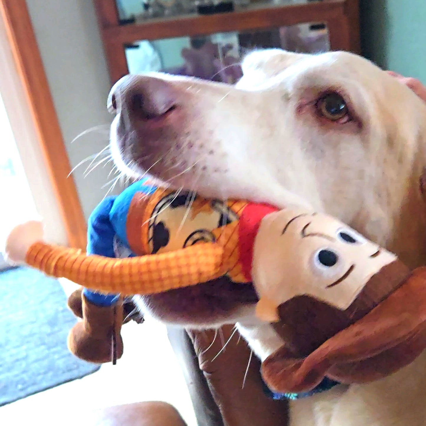 Dog Toy Squeaker Plush - Pixar Toy Story Woody Full Body Pose